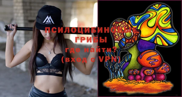 тгк Бронницы